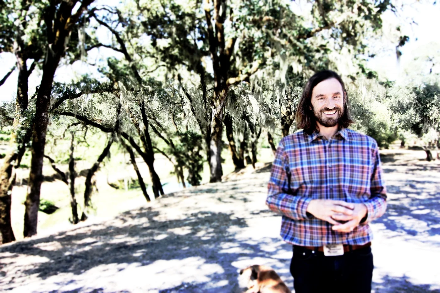 Kitchen in Season_Medlock Ames_18.JPG