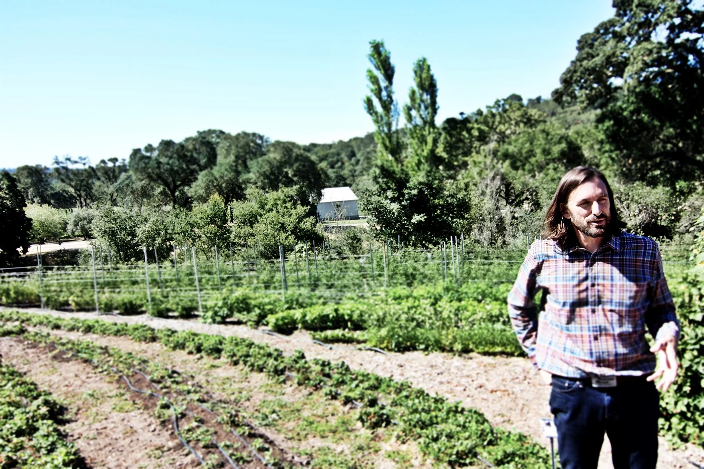 Kitchen in Season_Medlock Ames_25.JPG