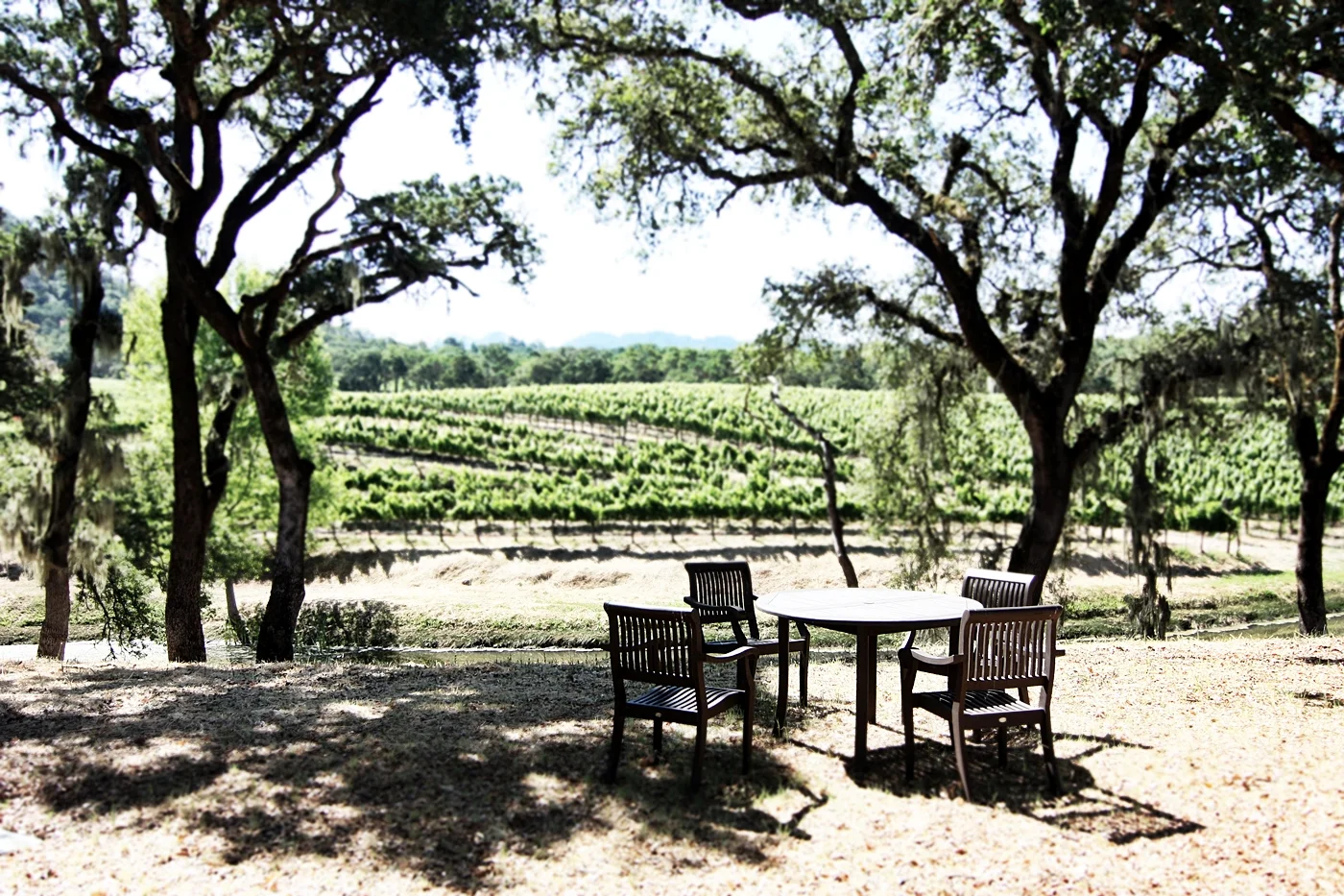 Kitchen in Season_Medlock Ames_28.JPG