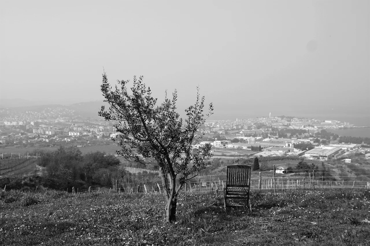Kitchen In Season_Vittorio ZoppiIMG_4453 029.JPG