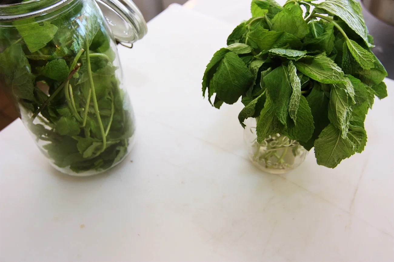 Kitchen in Season_Smitten Ice CreamIMG_5547.JPG