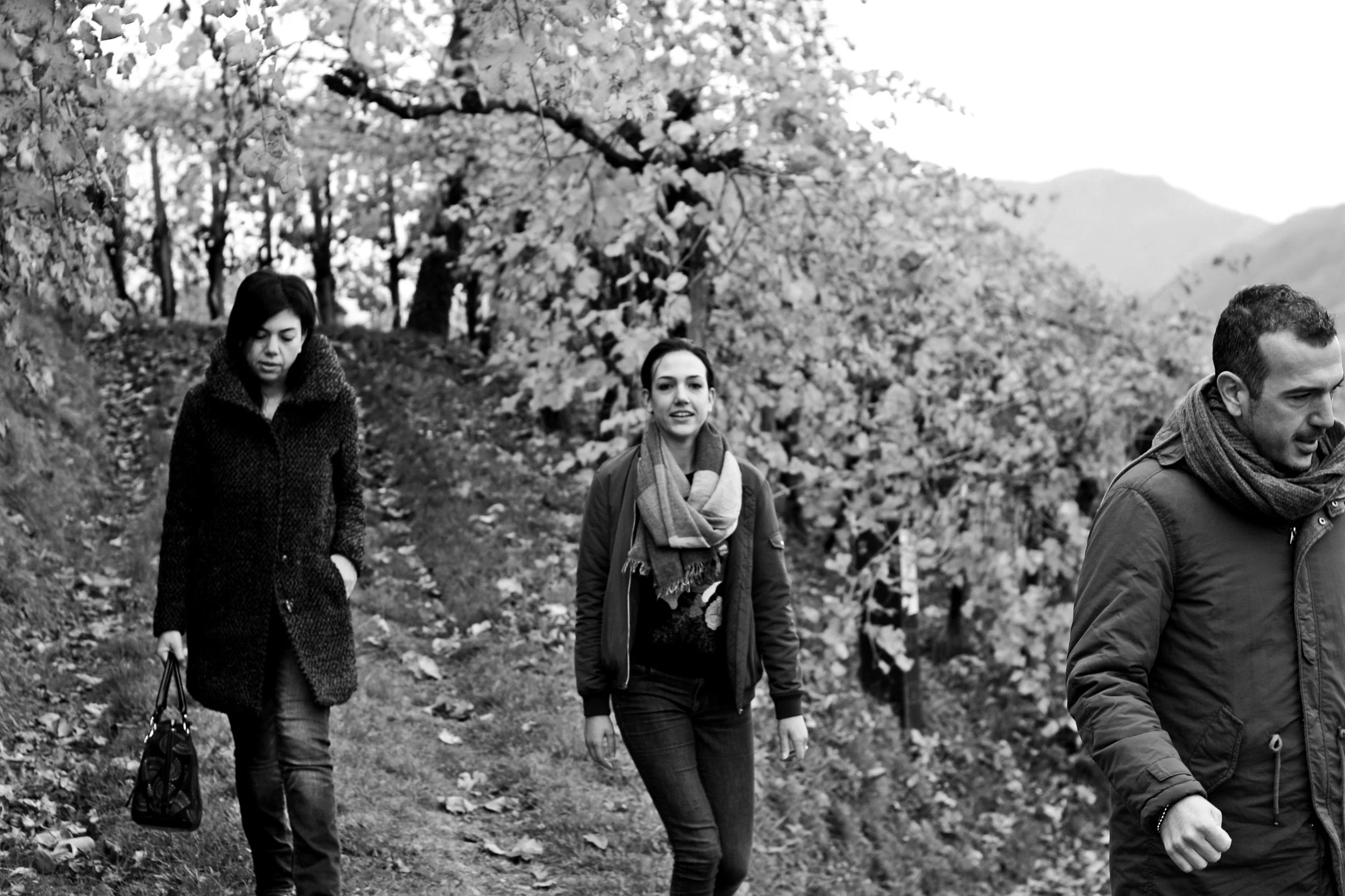 Le Colture_2016IMG_8803 2016-12-02 14 04 39.JPG