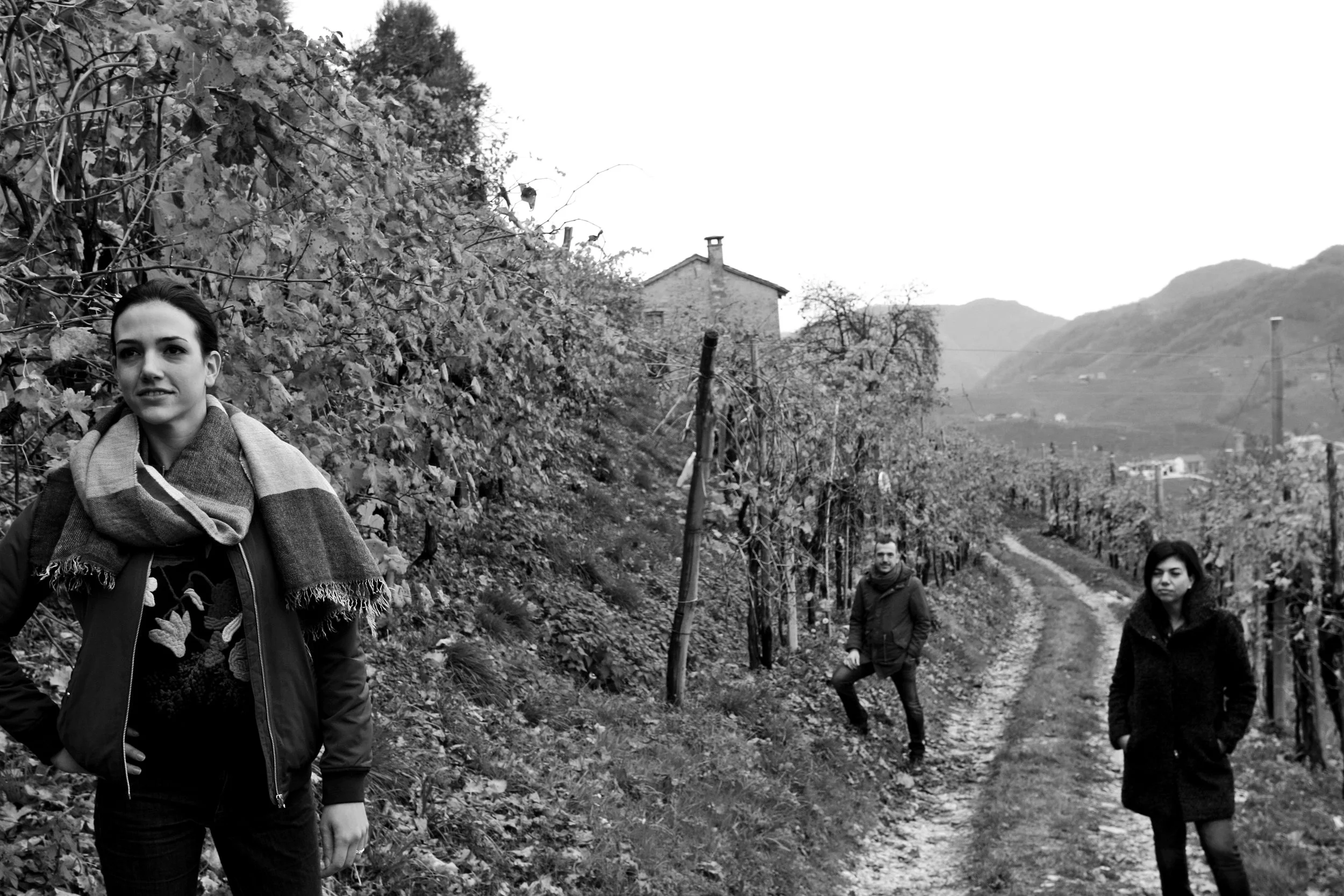 Le Colture_2016IMG_8784 2016-12-02 13 57 21.JPG