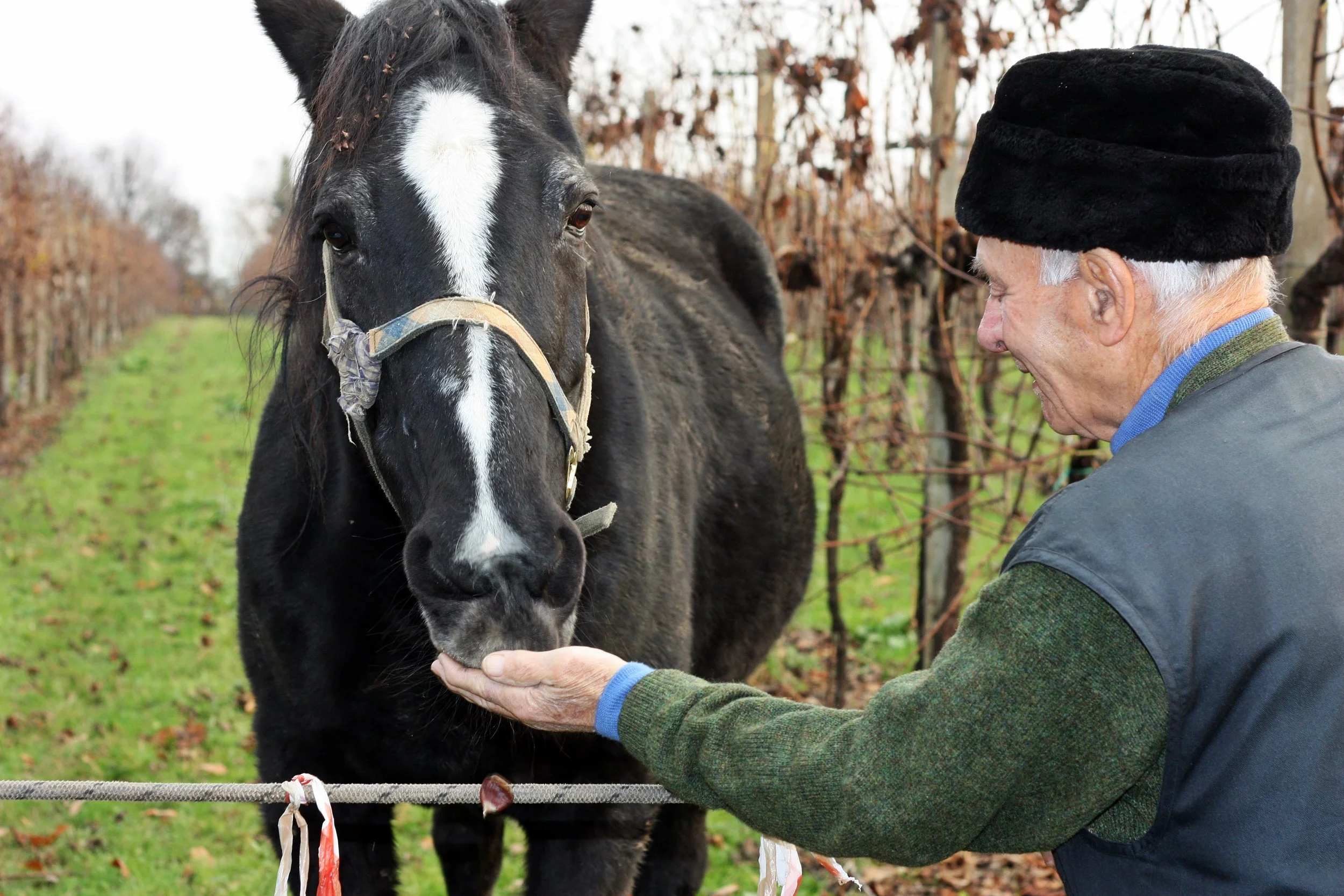 Le Colture_2016IMG_8646 2016-12-01 18 20 45.JPG