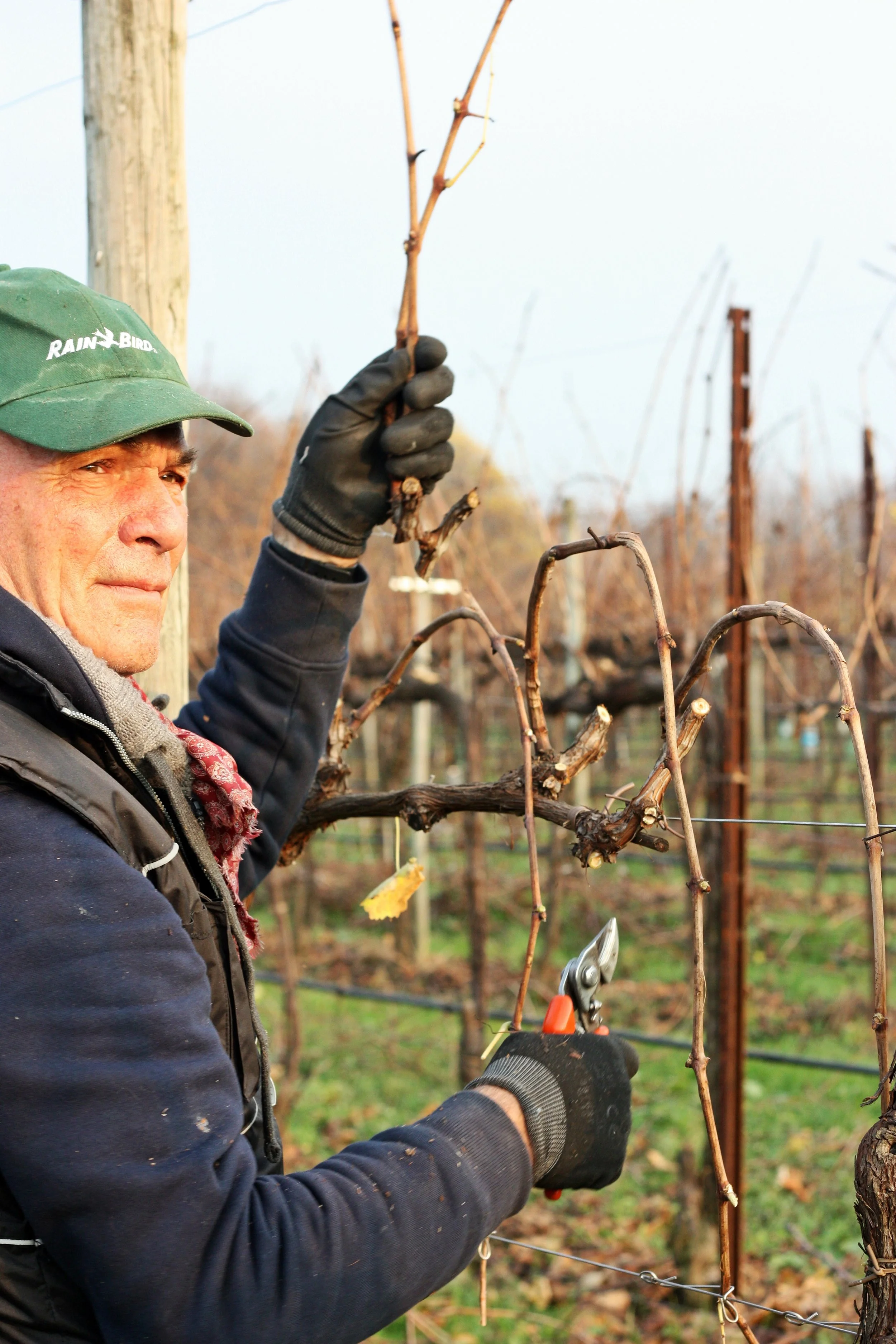 Le Colture_2016IMG_8629 2016-12-01 18 00 21.JPG