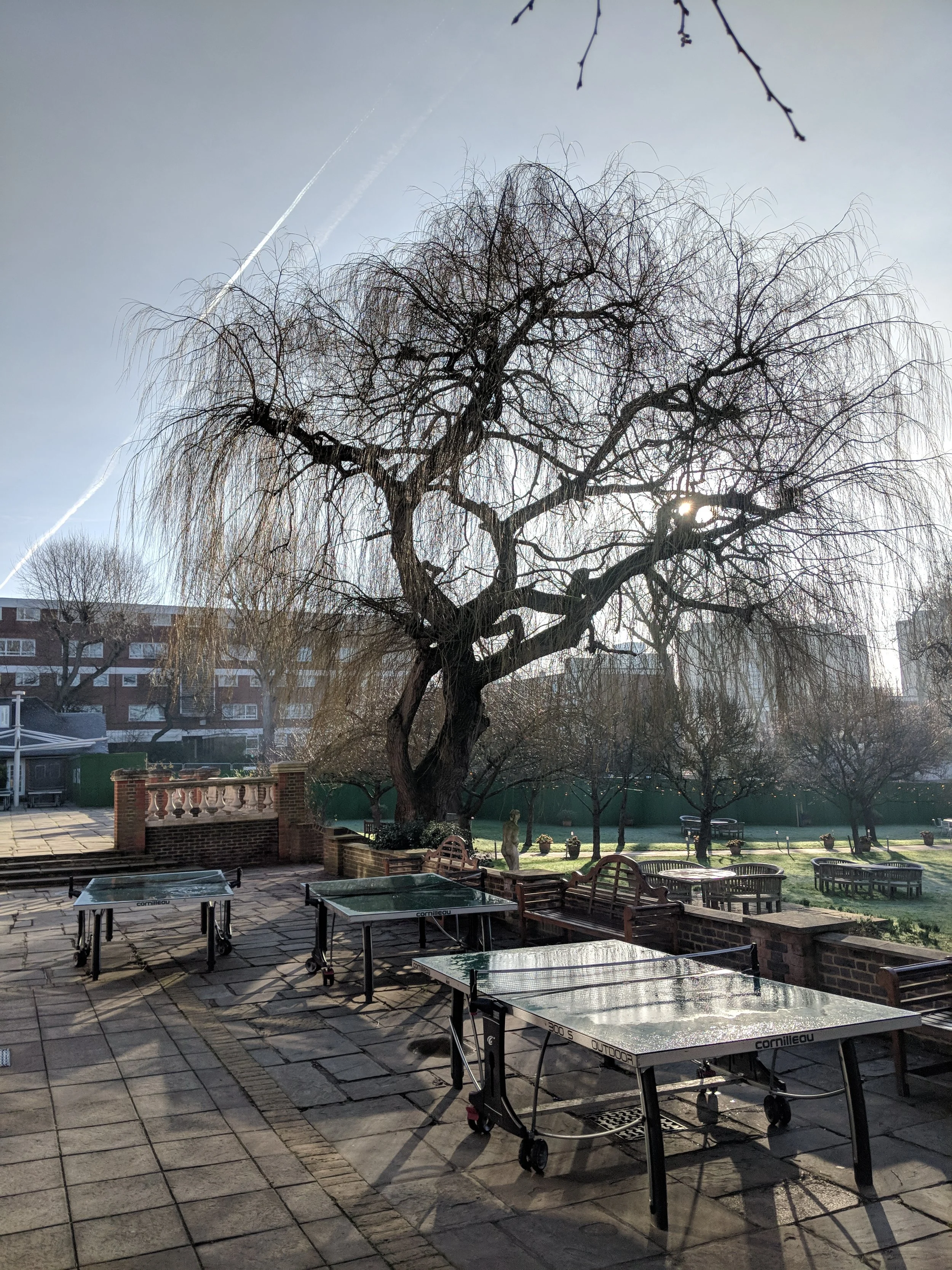MVIMG_20180130_094313.jpg