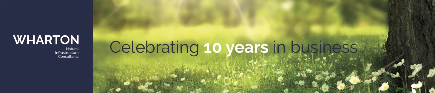 180830 WNIC 10 Years-1.jpg