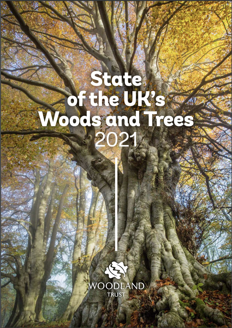 The Results - State UK's Woods and Trees 2021