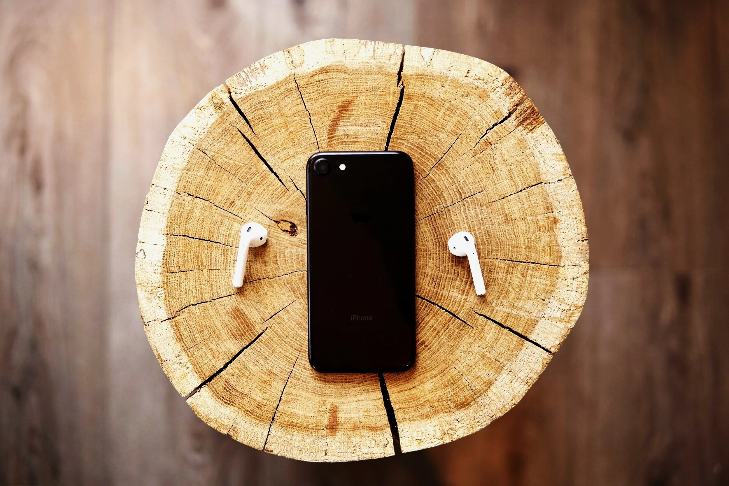 PODCAST+Image+Wood+Ears.jpg