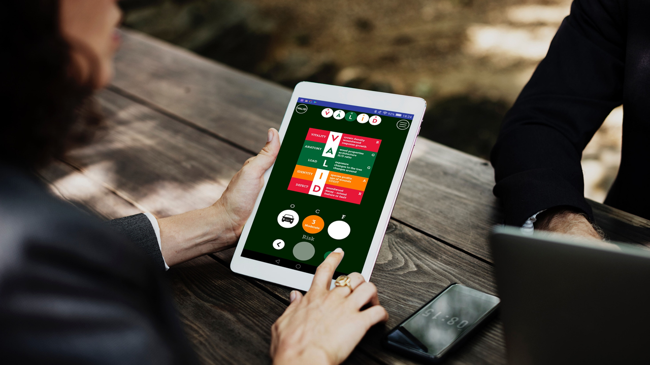 VALID Tree Risk Training