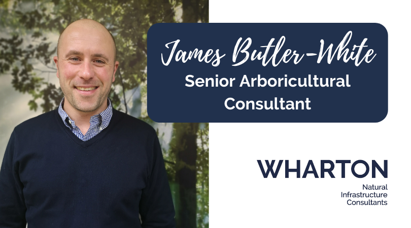 High Standards &amp; Hard Work : James Gets Promoted