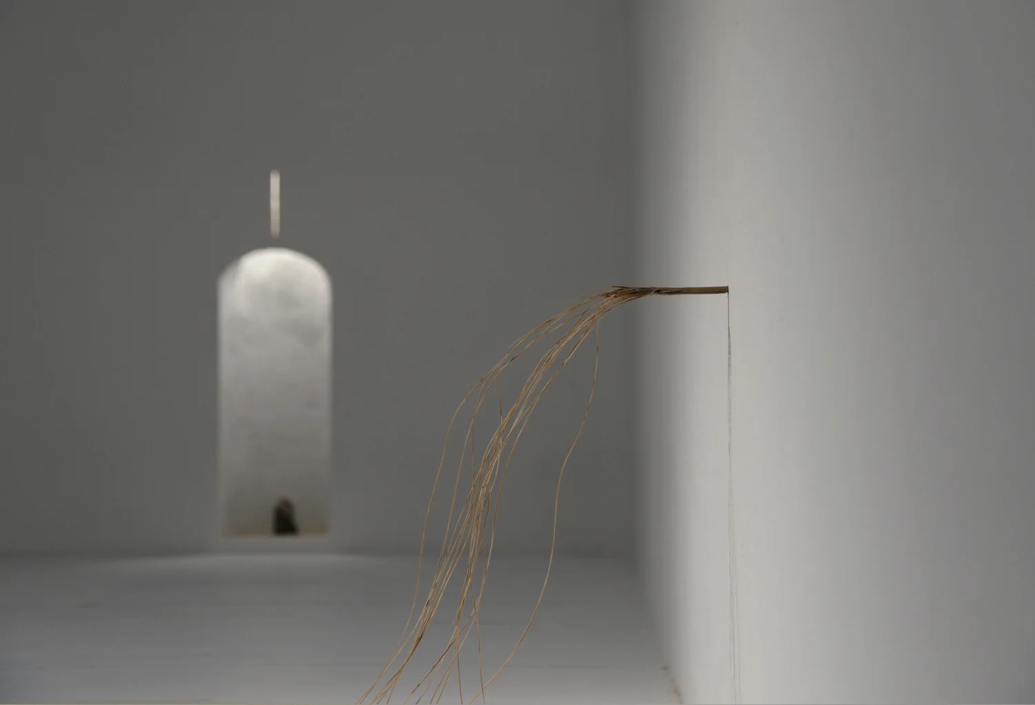  curation &amp; environment for Allan Jeffs installation ‘Penitentes’ 
