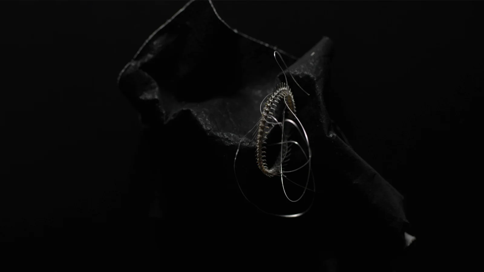  VESPERTINE LA: wardrobe &amp; textiles 