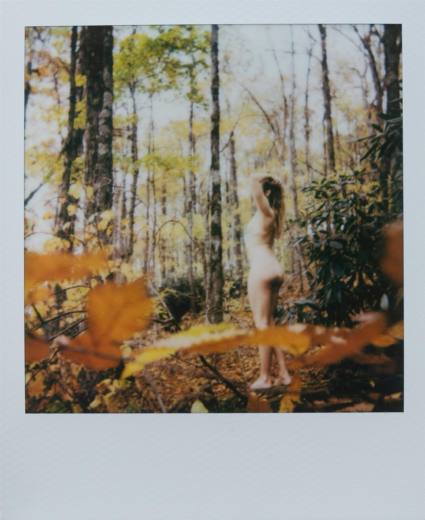 To be naked in autumn is to embrace 
the forbidden. Leaves tinged red with 
the moon&rsquo;s fallen blood. Embroidery 
of the tree branches and the sky scented 
with moss. To be naked in autumn is 
to inhale death and breathe out desire, 
the place w