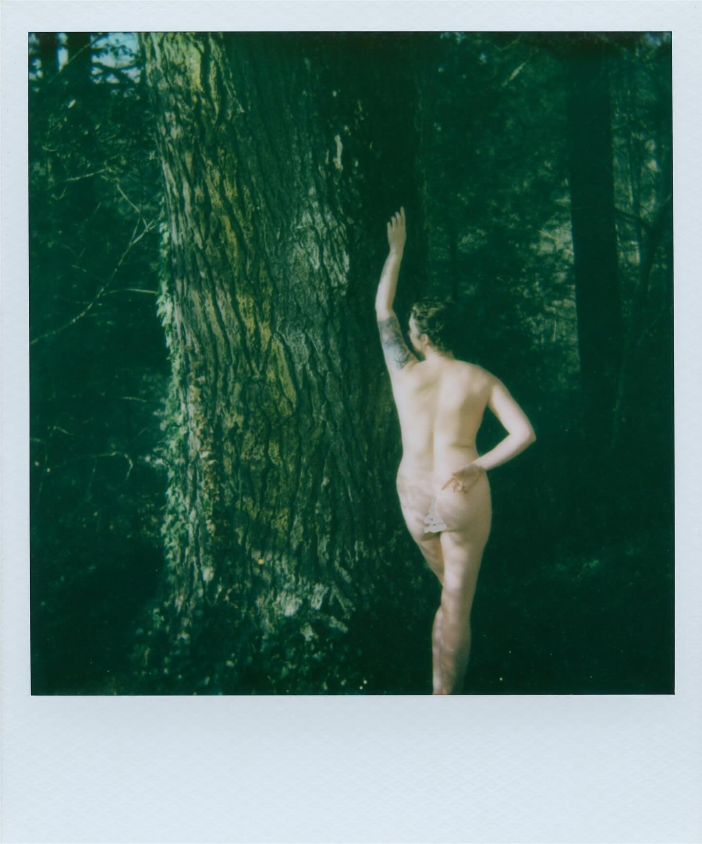 Wishing you holy silence, and a newfound appreciation for light, as the nights stretch long. 

Went way up in the mountains for a few days. Amidst the quiet + gentle giant hemlocks I was able to hear my inner voice again. I only made a handful of ima