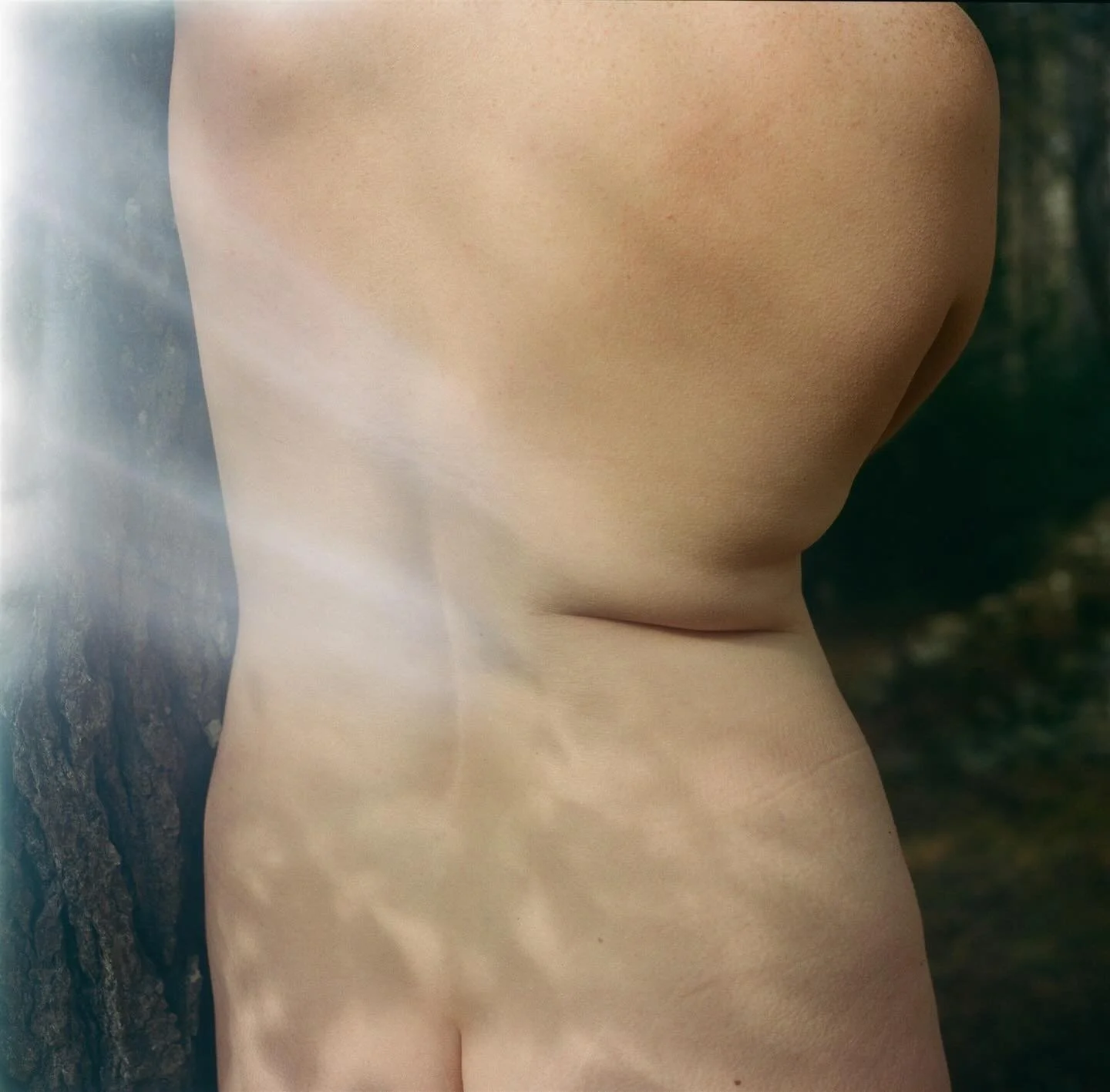 In a world full of bones I choose soft. . 

from my ongoing collaboration with @meghansterlingpoet ~ photo poem post. You can read her full poem on my biweekly substack. Or get photos and poems sent to your actual 📪 if you click on the SNAIL MAIL ve