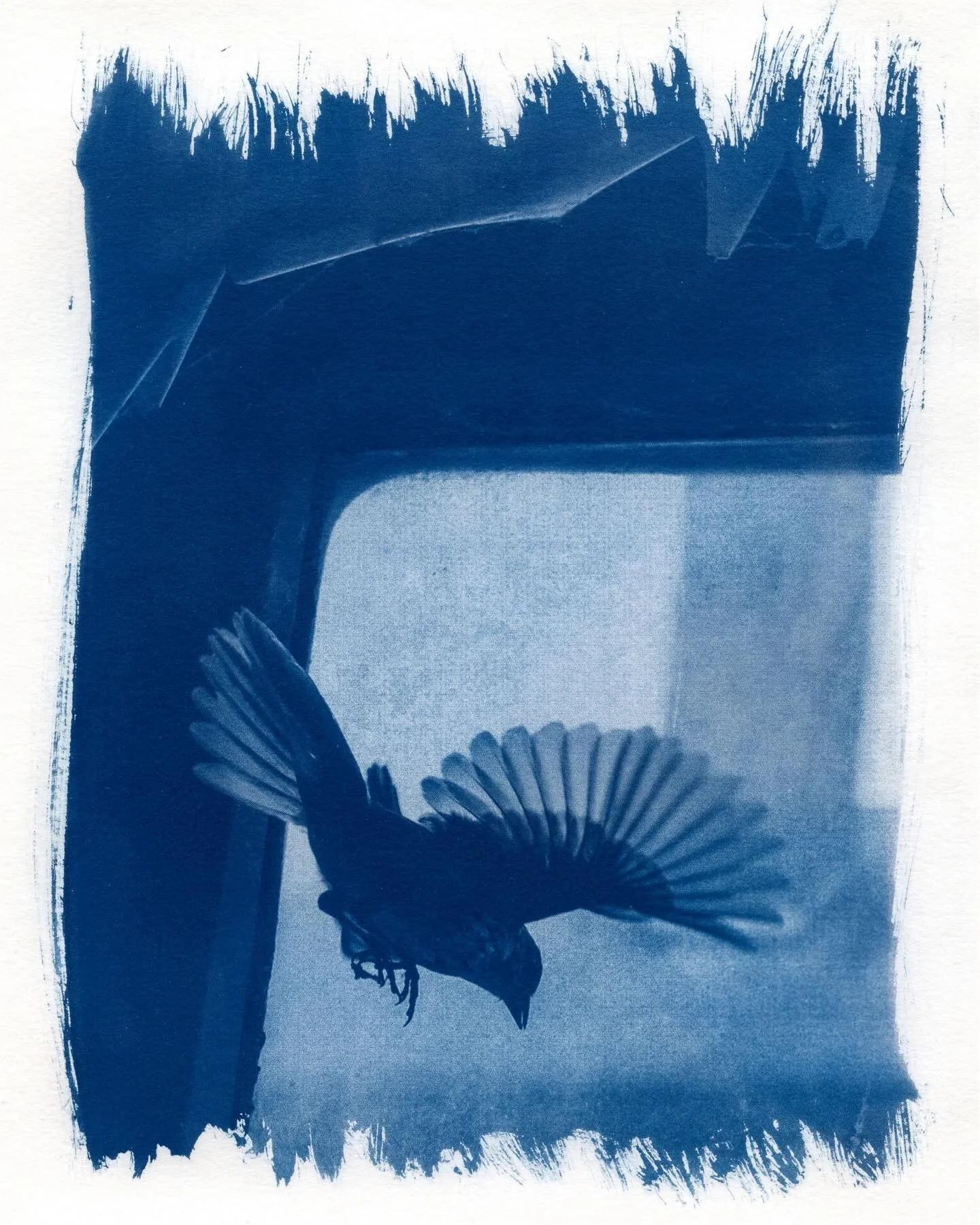 Blue blue blue. . . La vie en bleu 

#3 made in collaboration with @enowenphotography 💙

I am just dipping my toes in the sea of cyanotype this winter. I hope to plunge in fully when the summer sun returns. 

Cheers to making things with your hands!