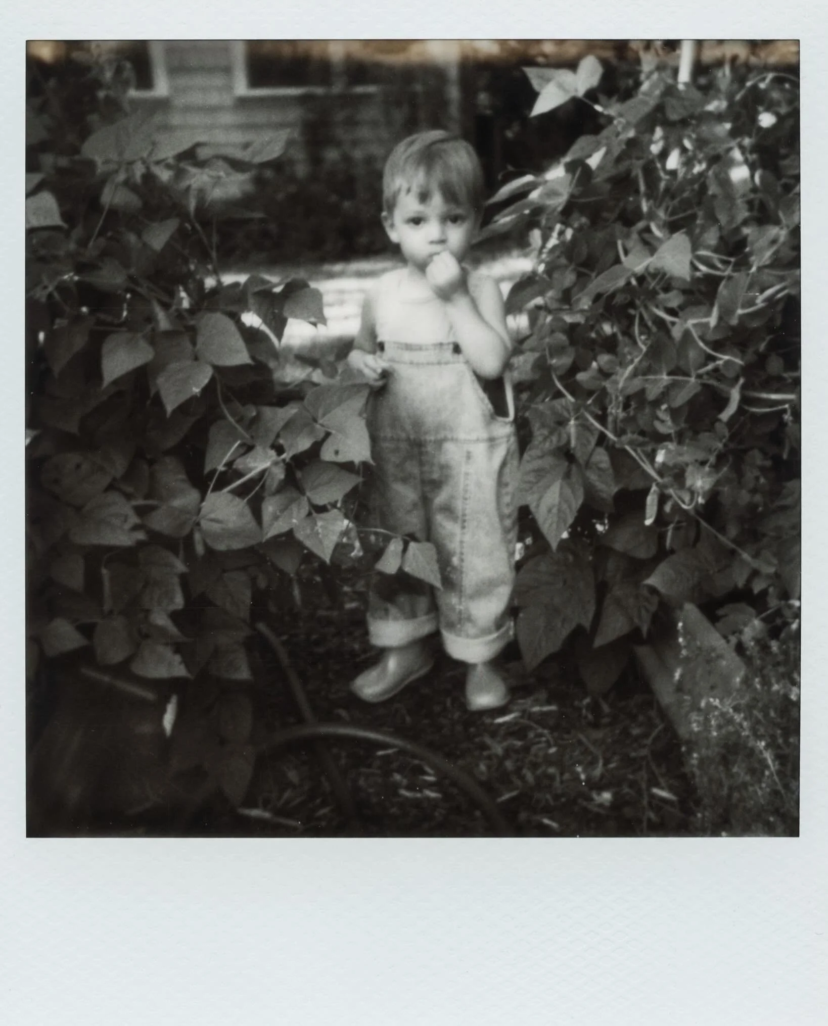 Book making time, but first some instant gratification. Thank you @polaroid ! Family photos belong in hands not hard drives, so now I make books for everyone. Sitting down to design one for Raphaela and her beautiful family this morning. Speaking of 