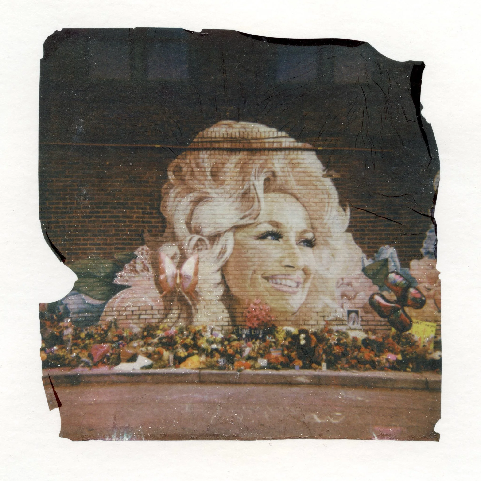 I love my neighborhood. How do you grieve a legend? 

Together. 

Mural art by @guscutty 
Polaroid art by me 
legendary musician/activist/goddess status @dollyparton