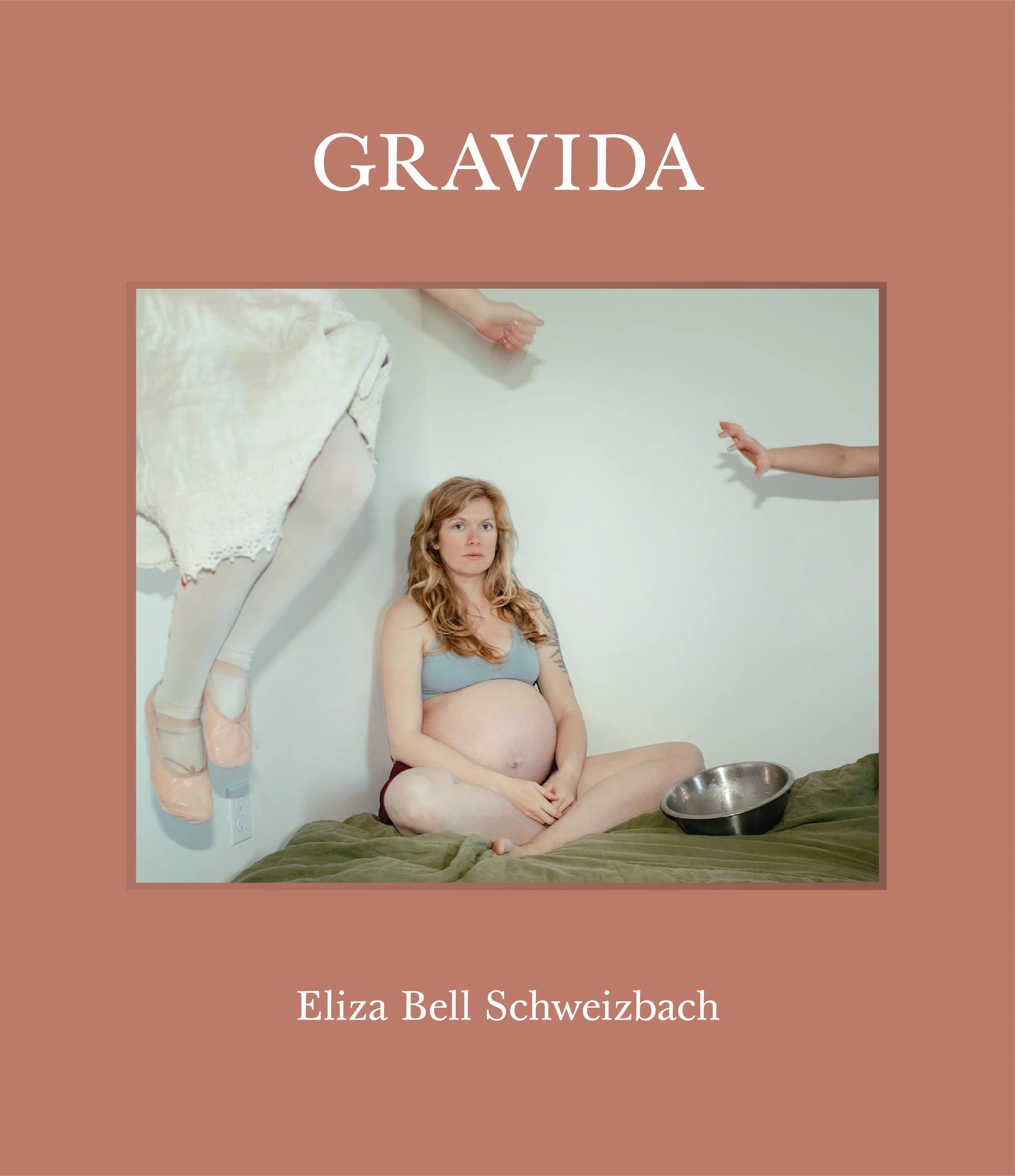 Book cover titled 'Pregnancy' by Eliza Bell Schweibach, featuring a woman with a pregnant belly sitting on a bed, with two disembodied arms reaching towards her and a metal bowl on the bed.