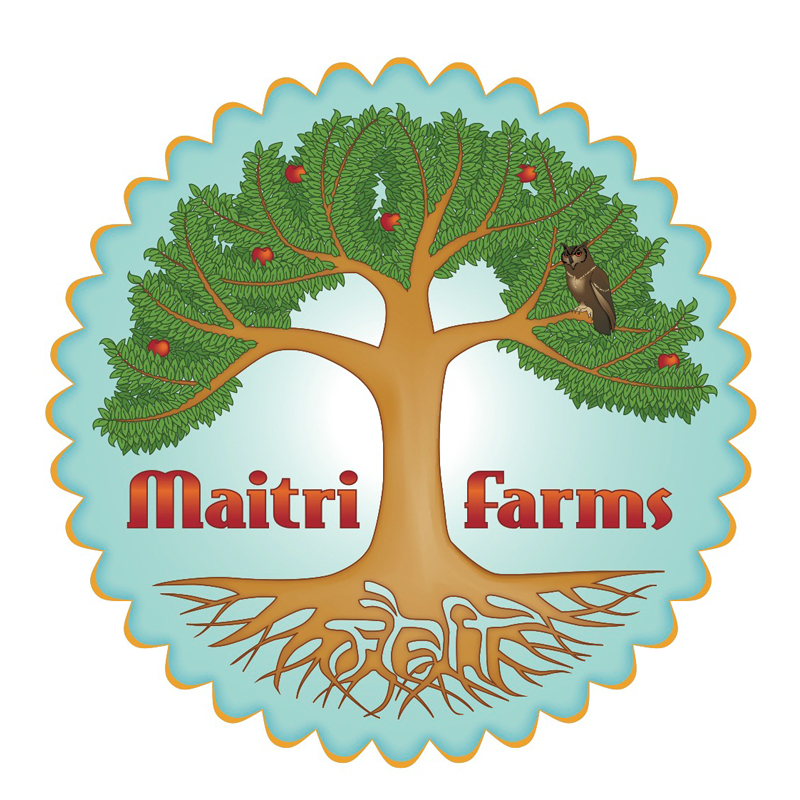 maitri final logo_brown owl copy.jpg