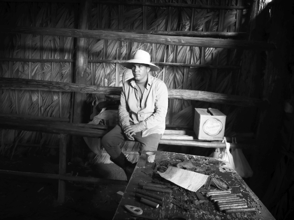 Tobacco farmer, Viñales, Cuba