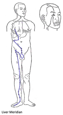 liver meridian, wood element, kali basman