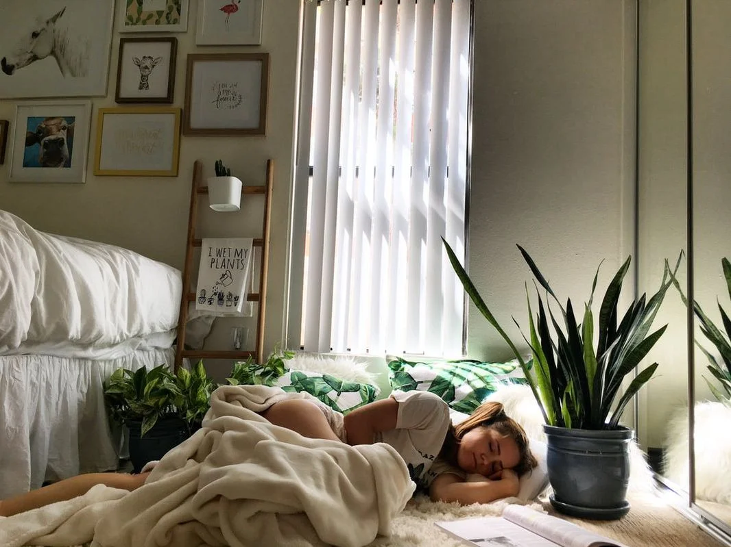 love and sexual materialism blog post kula collective