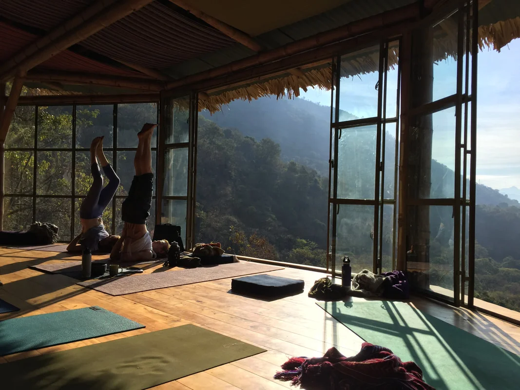 kula grad series, yoga forest, morning yoga