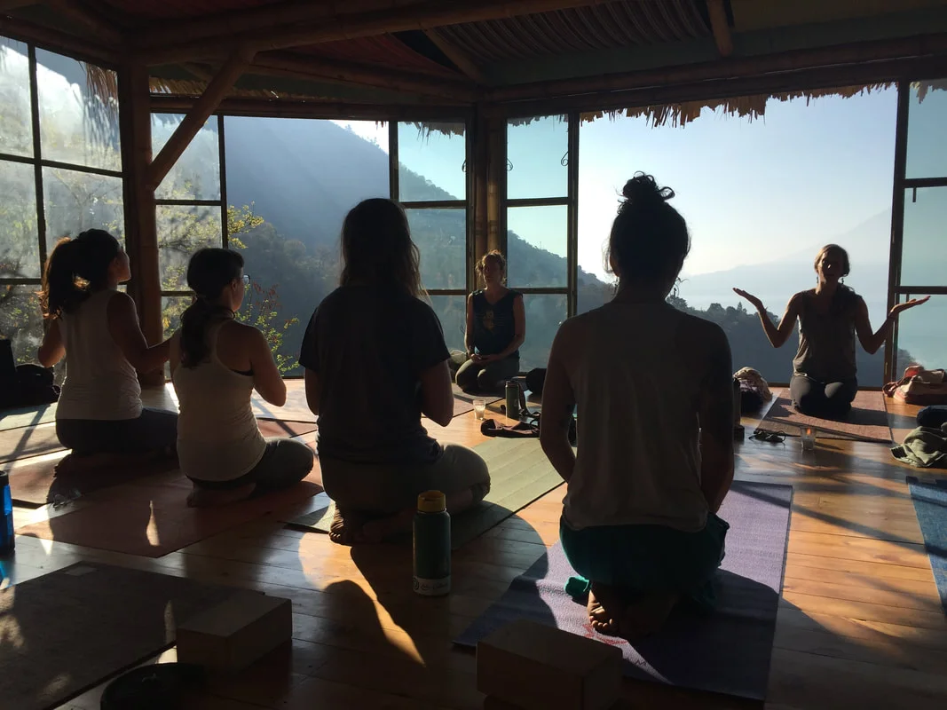 blog post, yoga forest
