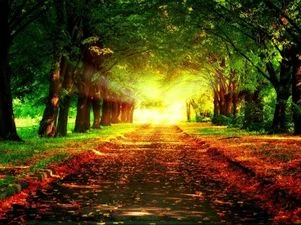 widening path, blog post