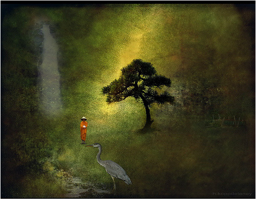 buddha blog post coby hadas