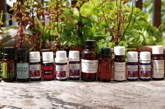 essential oil blog posts