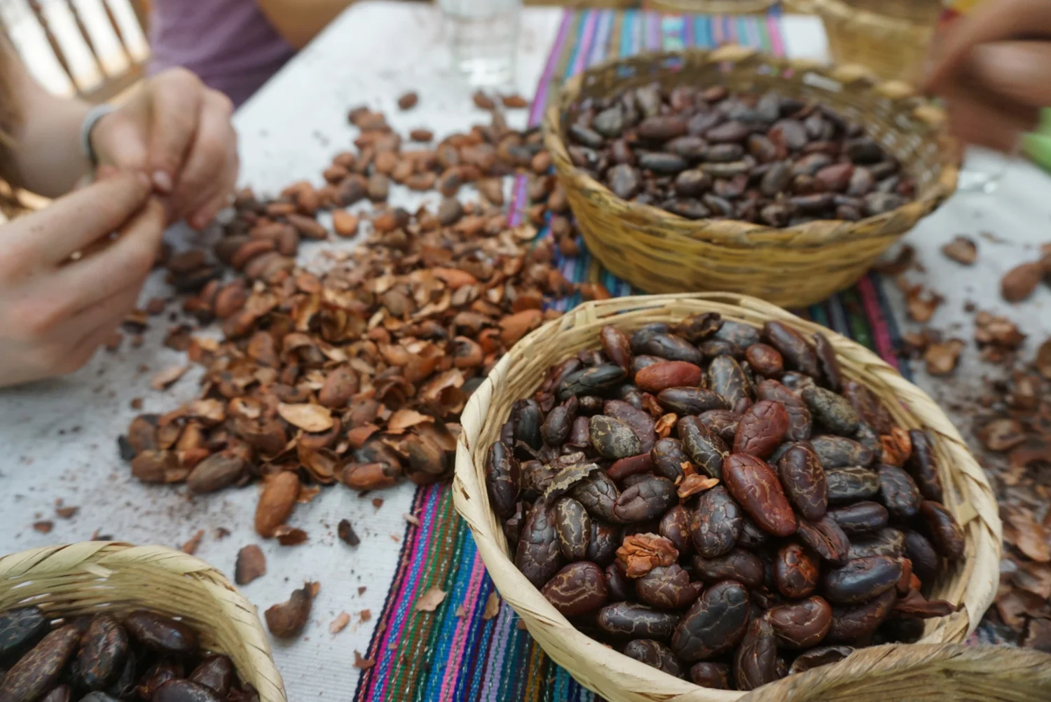 kula collective blog cacao fundraiser