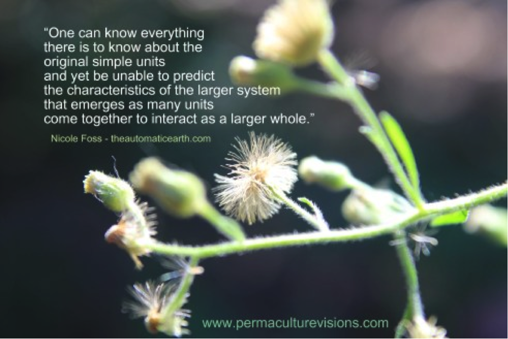 permaculture-visions-kula-collective.png