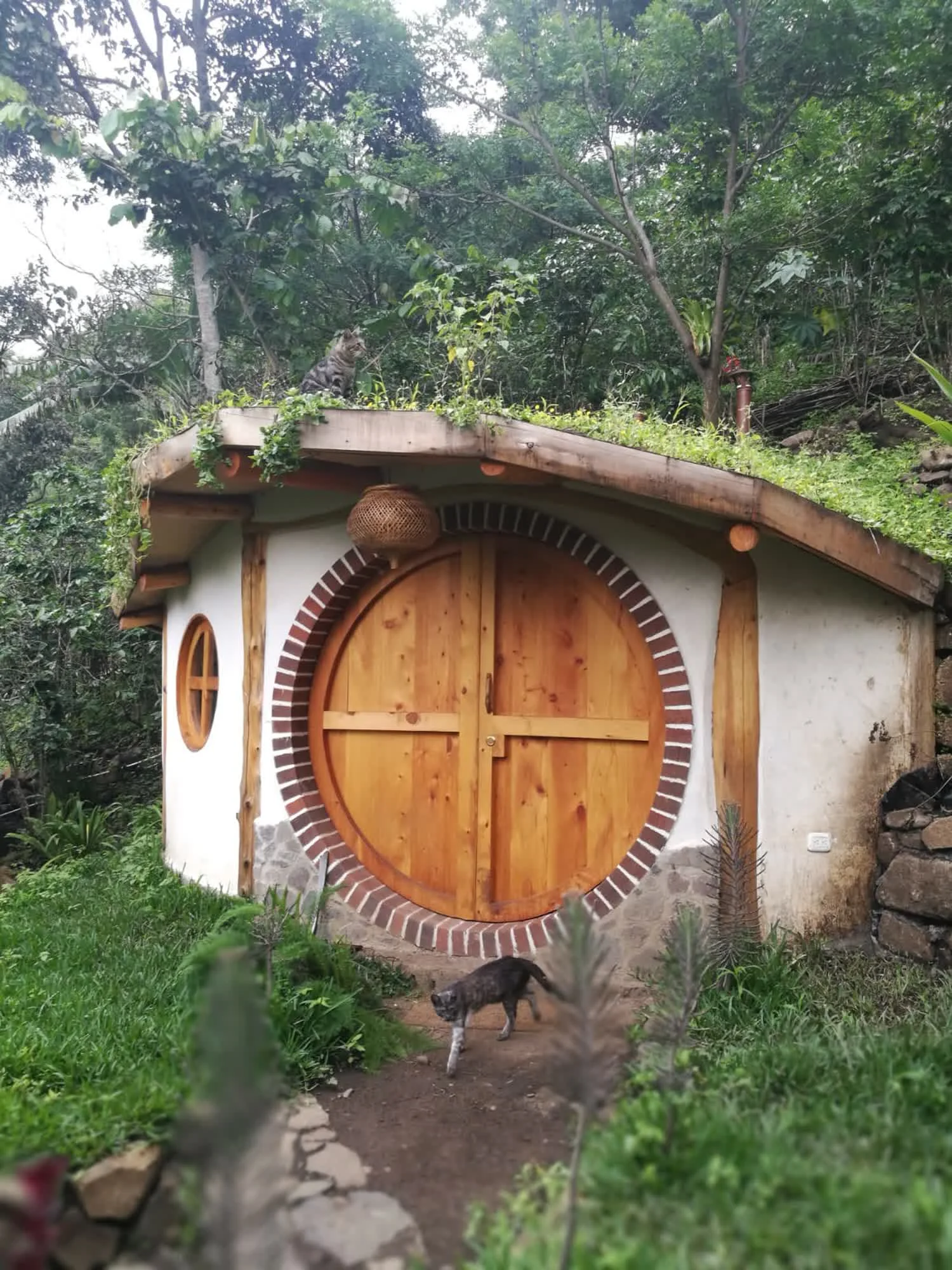 5201_hobbit house_1500x1000.jpeg
