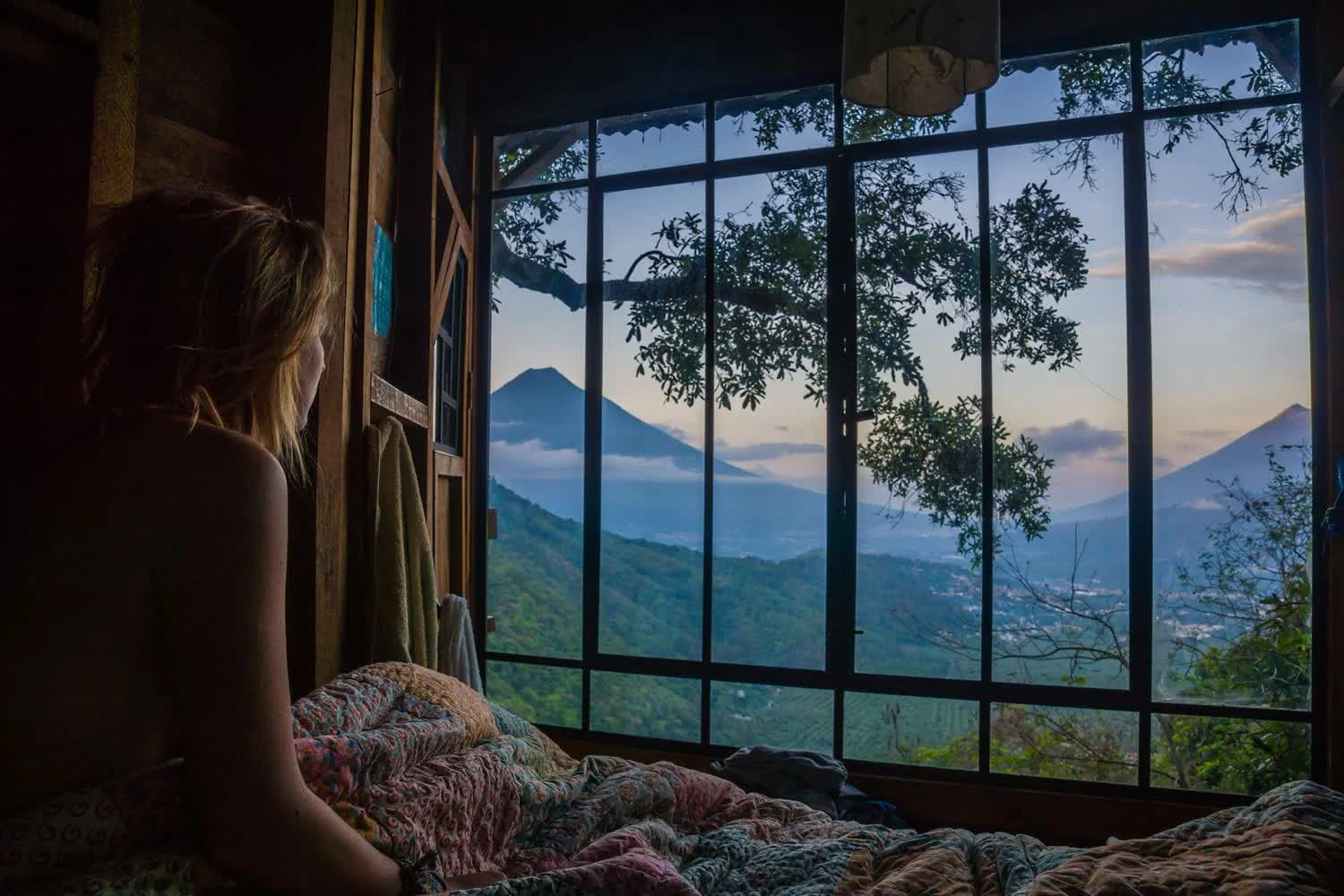 3141_treehouse view from the bed-Dan Pryor Photography_1500x1000.jpg