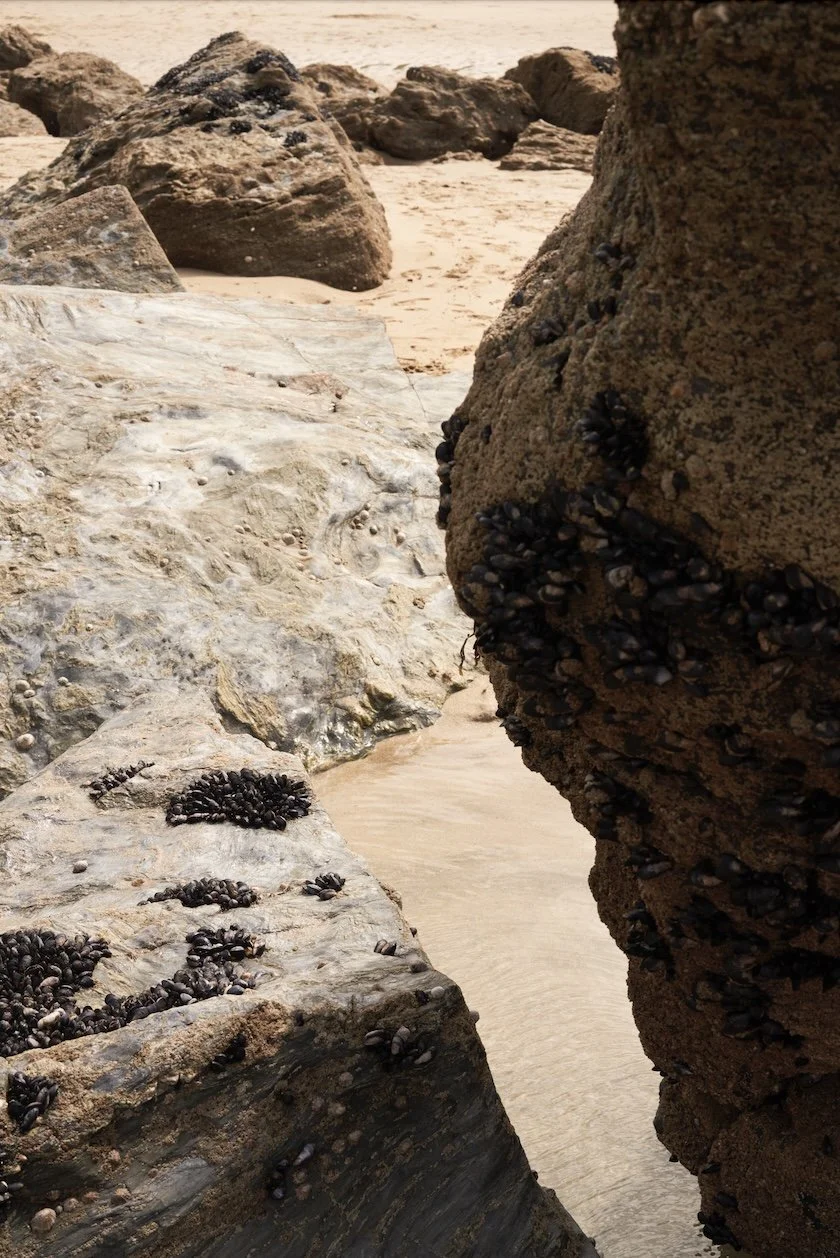 Screenshot 2025-10-21 at 12.00.19.jpeg