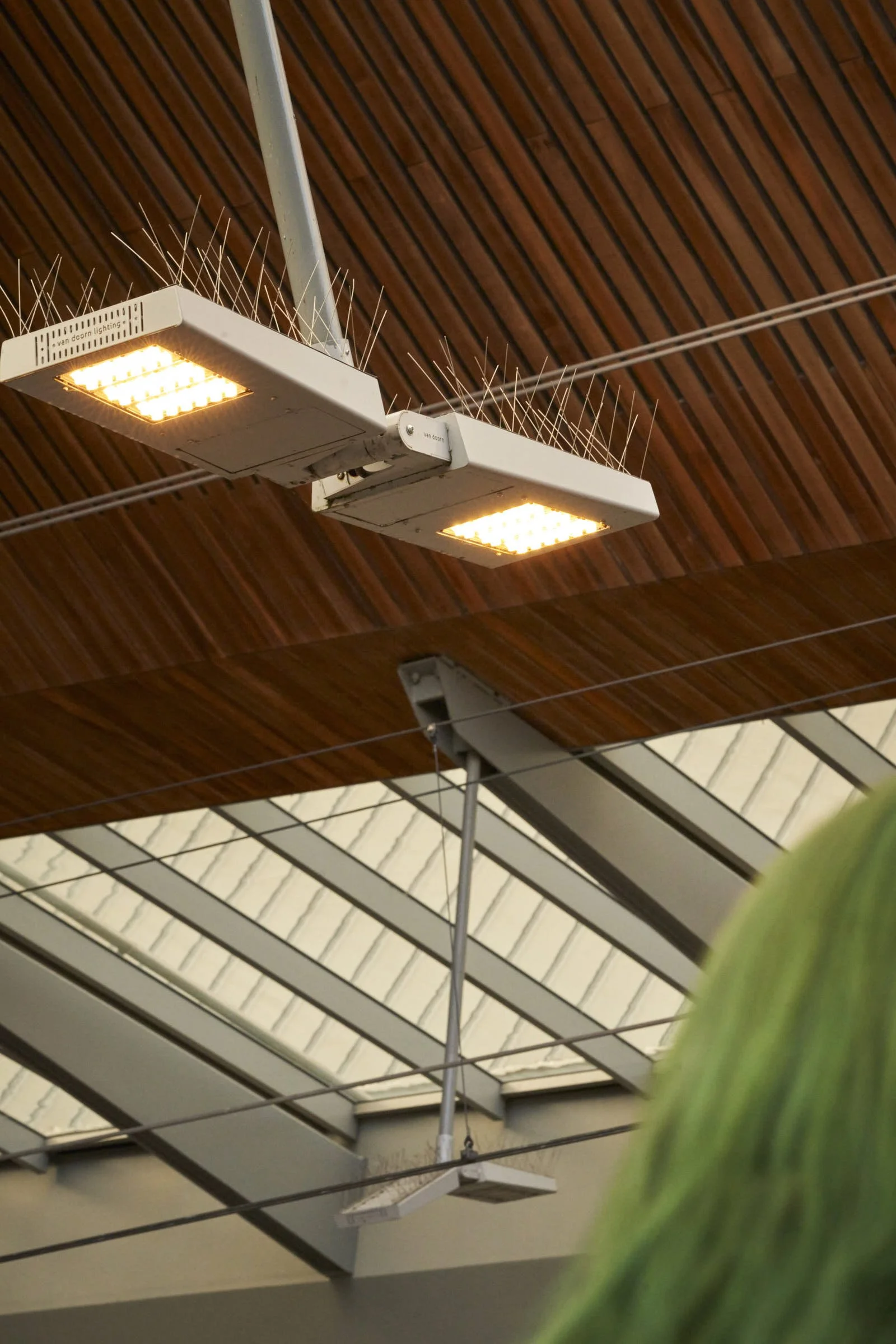 Jochem-Amsterdam2025-TitNaNog 12.jpeg