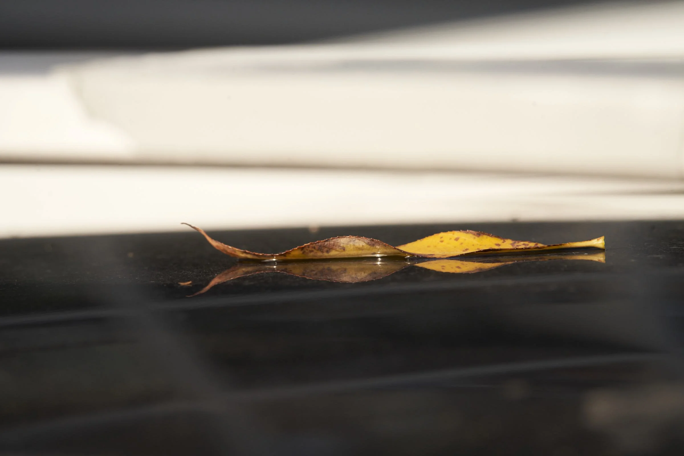 Jochem-Amsterdam2025-TitNaNog 8.jpeg