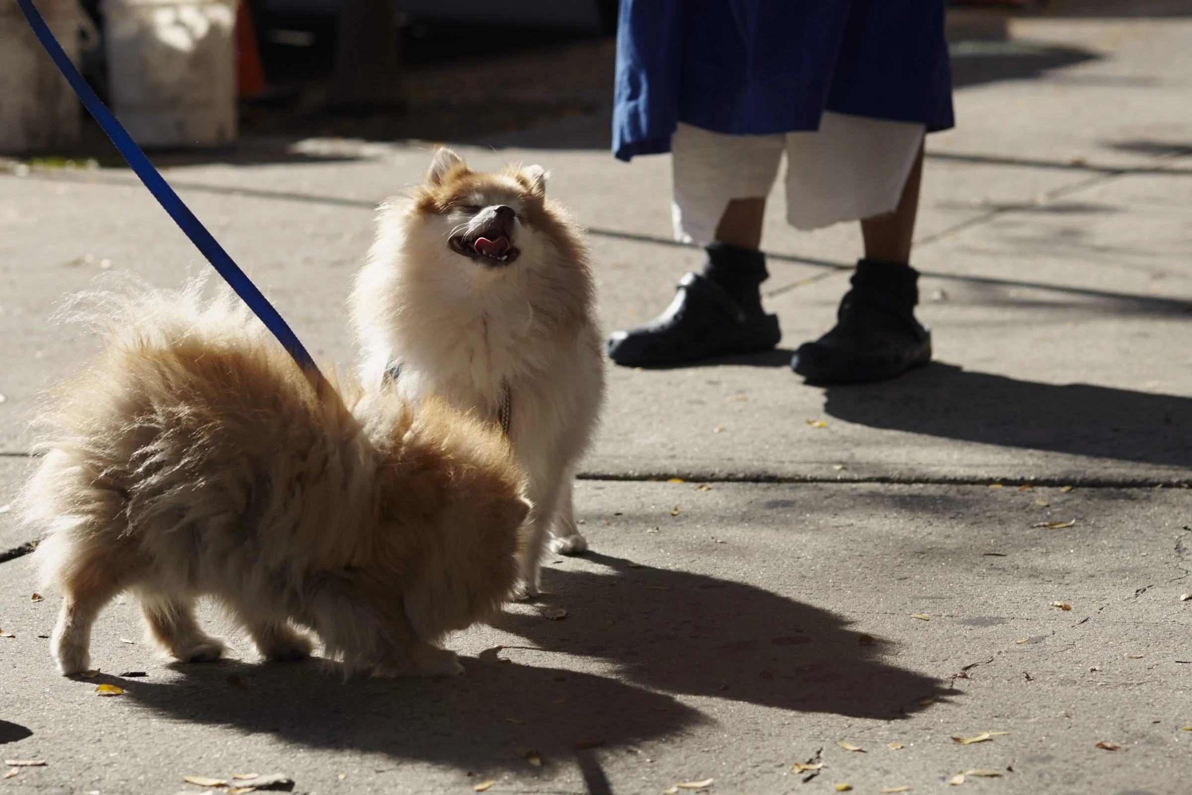 Jochem-NYC-Earlywork-Web- 4.jpeg