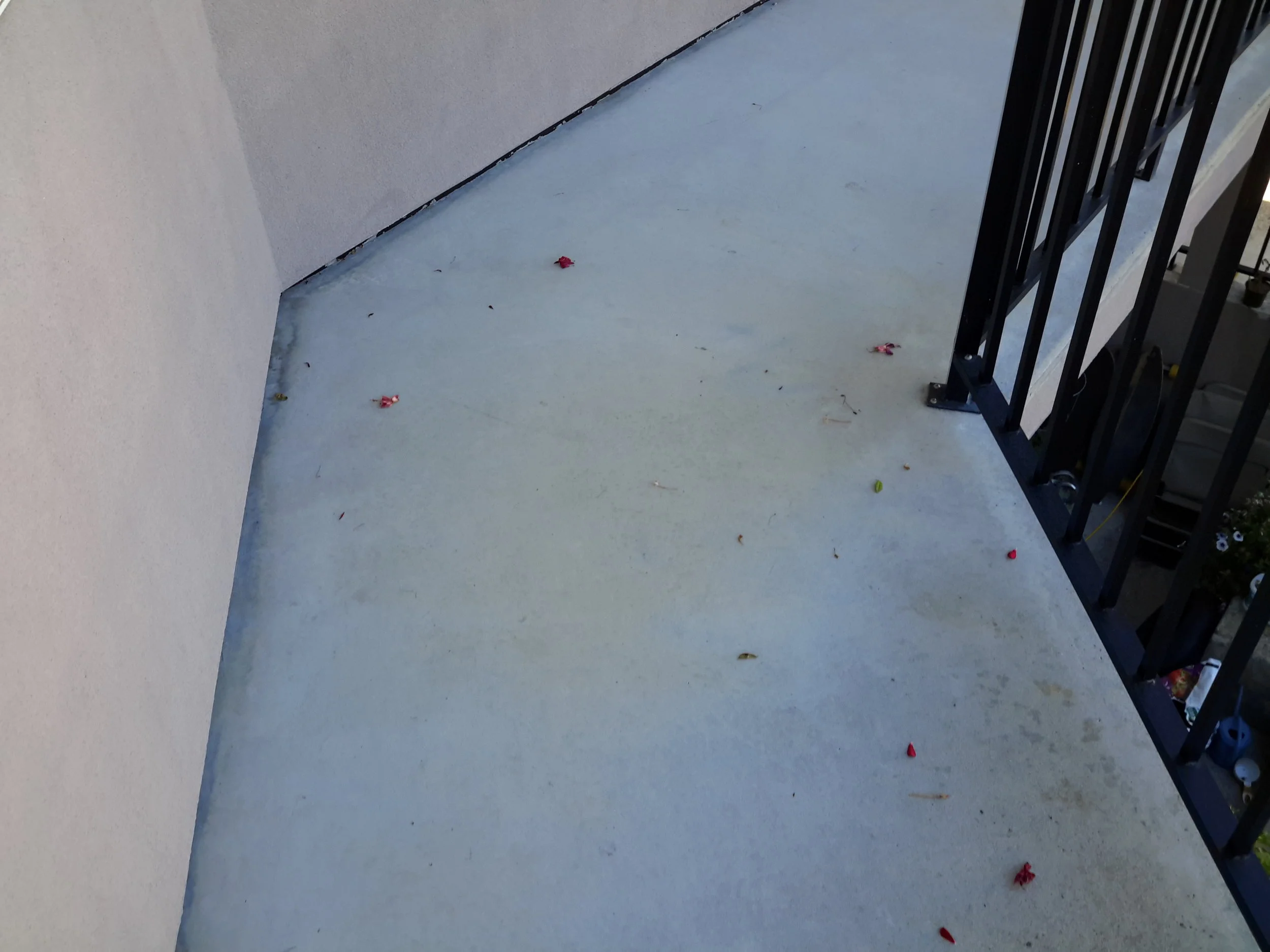 20180716_080614.jpg