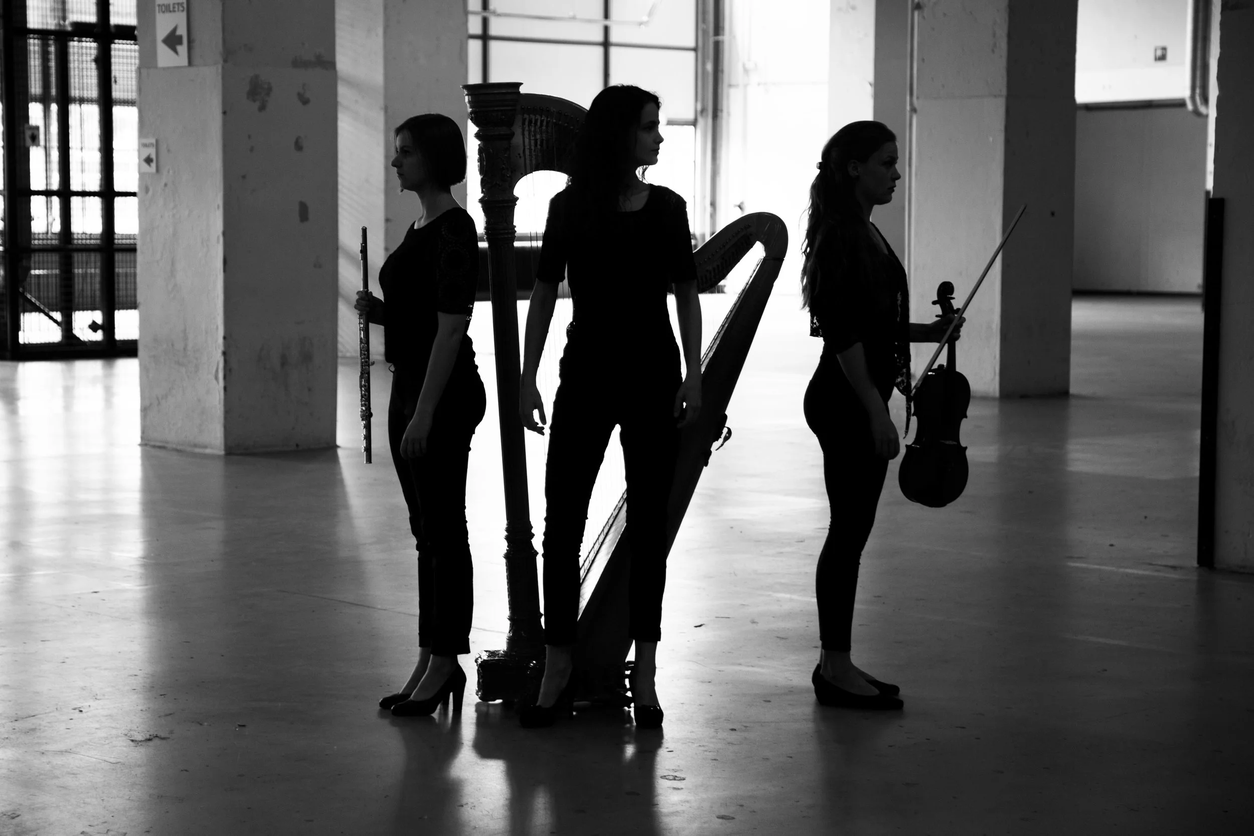 170713-RavelTrio148z.jpg