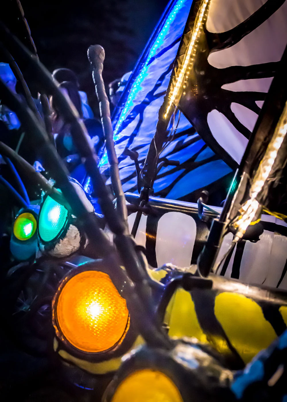 Bike-Zoo-NEW.jpg