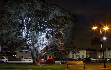 LIGHTING Mission Bay is well known for its beautiful decorative lighting and with the assistance of the Orakei Local Board, we installed lights in four of our trees. Not only do these provide extra security at night, but they are a great night time feature on the reserve, bookmarking the entrances to Mission Bay.
