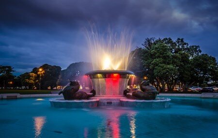Fountain-lights-water-tree-pohutukawa-cloud-sky.jpg
