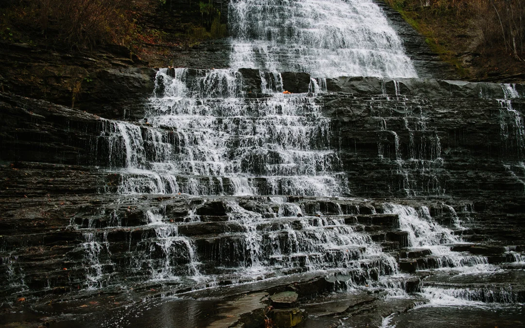 What is a Life Coach, Anyway?