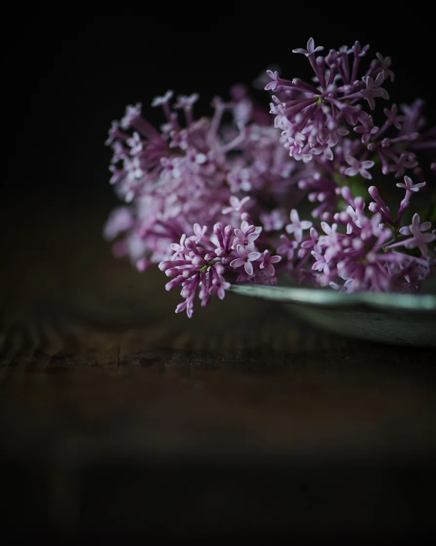Lilacs-3.jpg