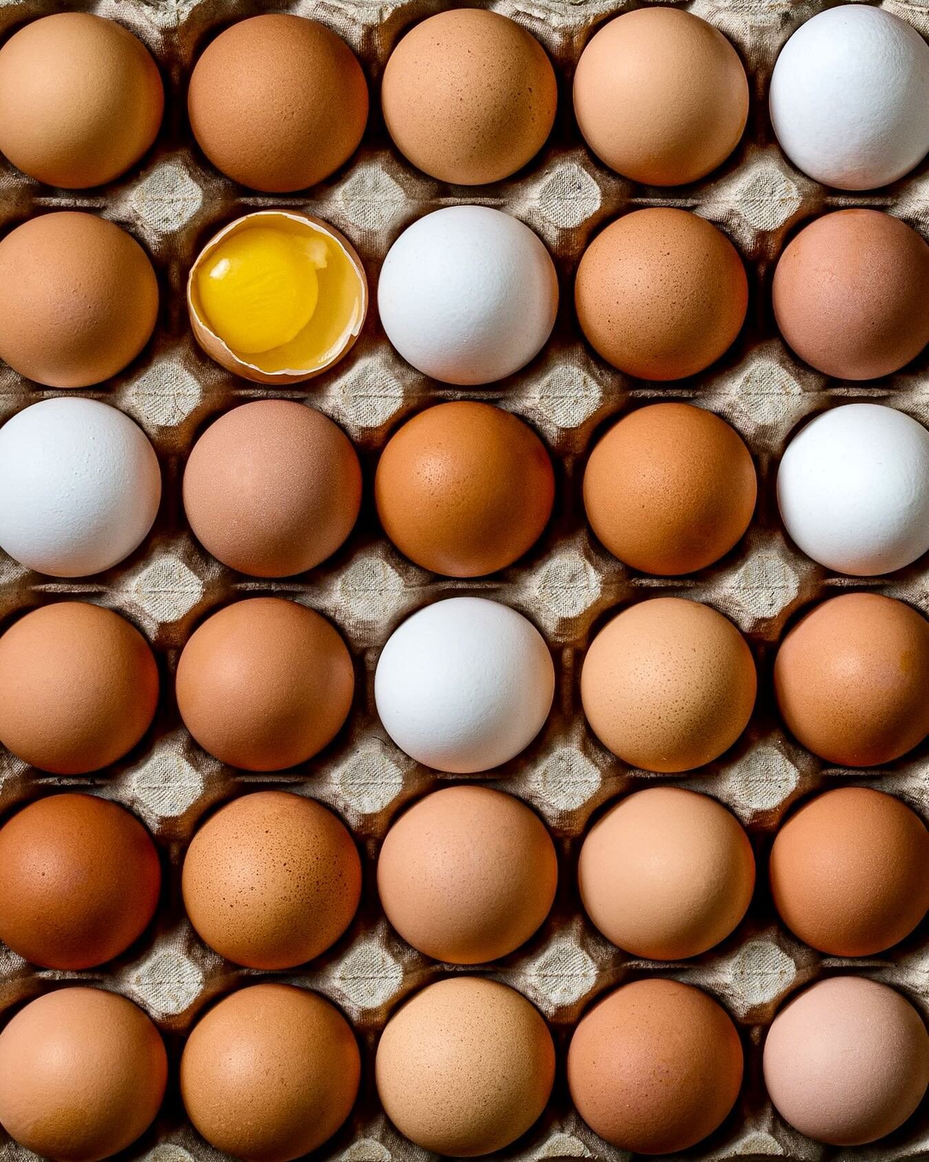 Flat of eggs. Sharing some photos from earlier this year. We added some simple produce shots after tackling main dishes with the @fairmontmac to capture this beauty. 🥚❤️
.
.
.
#eggs #eggstatic #produce #yegfoodphotographer #yegfood #yegfoodie #mushr