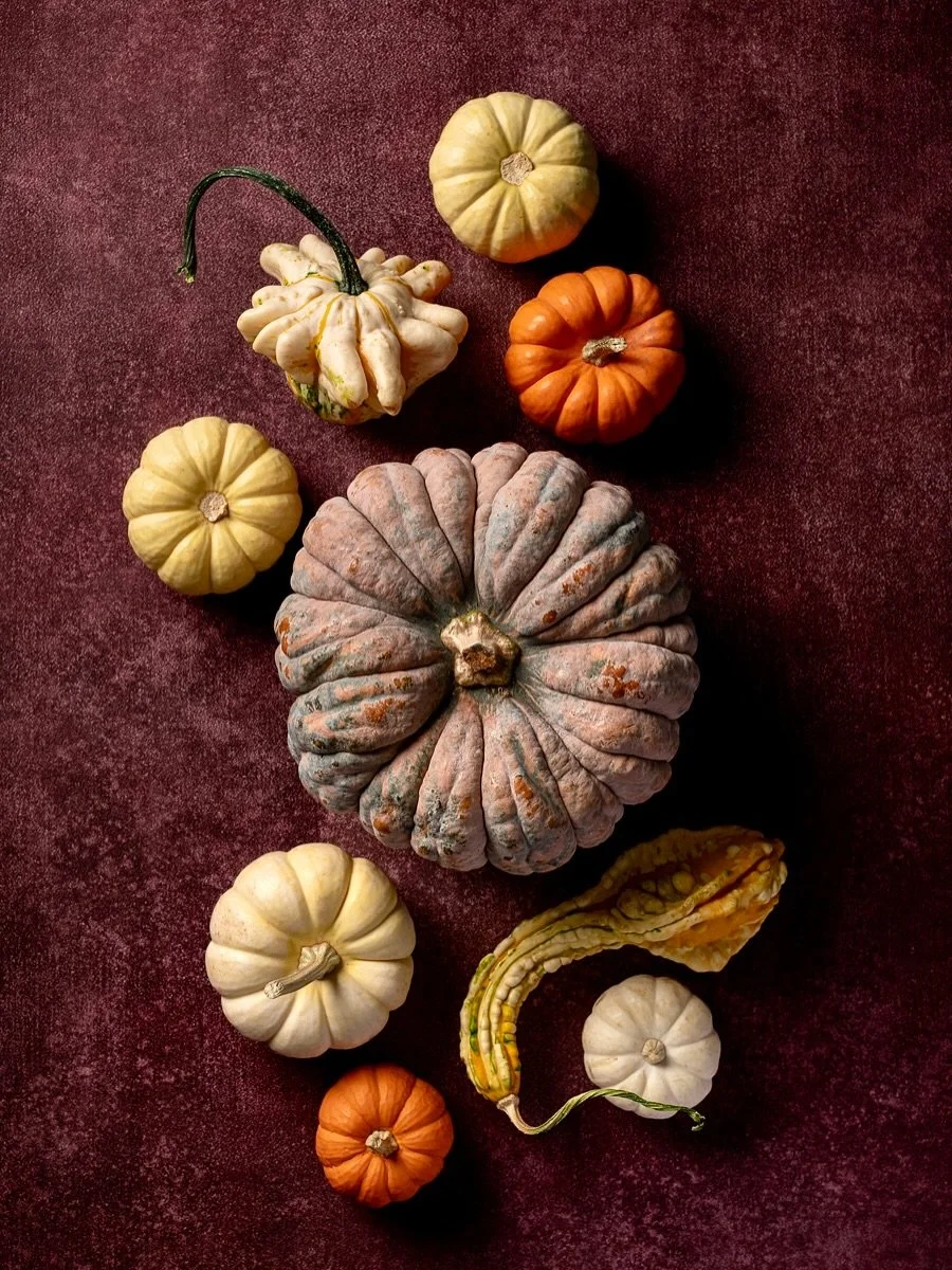 Happy thanksgiving fellow Canadians! Wishing everyone a delicious weekend full of gratitude and happiness. 

It also means it&rsquo;s the annual pumpkin/squash/gourd photoshoot. Was inspired by the purple and pinks in this gorgeously ugly pumpkin. 


